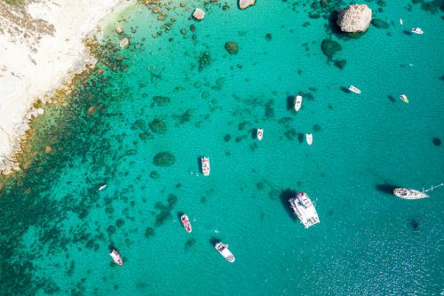 Tour Gommone a Cagliari di 2 ore - Sardiniadreamtour